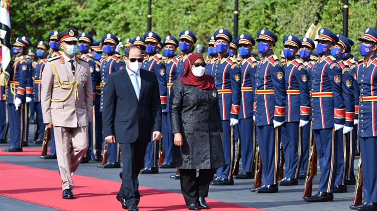 Egyptian, Tanzanian presidents discuss economic ties, security cooperation