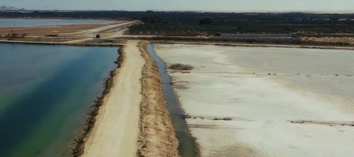 Scene from Egypt Forum 2026 documentary on water resources and agricultural development