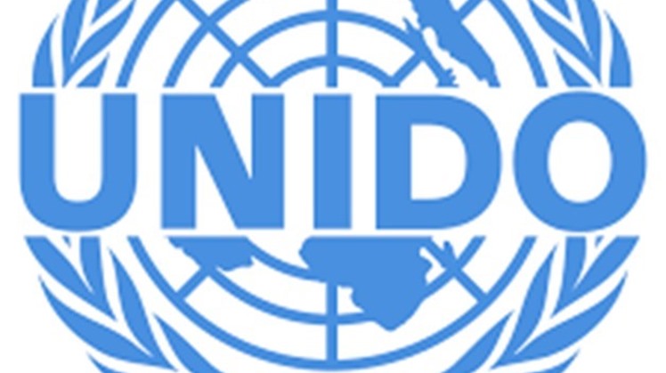 The United Nations Industrial Development Organization (UNIDO) is keen to cooperate with Cairo in supporting and developing industry,  
Representative and Director of the (UNIDO) Regional Office in Egypt Giovanna Ceglie said.