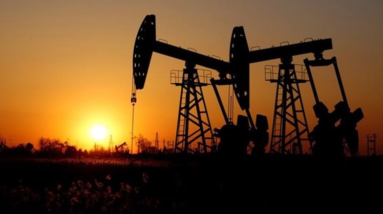Egypt's Petroleum Ministry targets increasing the daily crude oil to reach 700,000 in the current fiscal year 2019/2020, Petroleum Minister Tarek El Molla said.