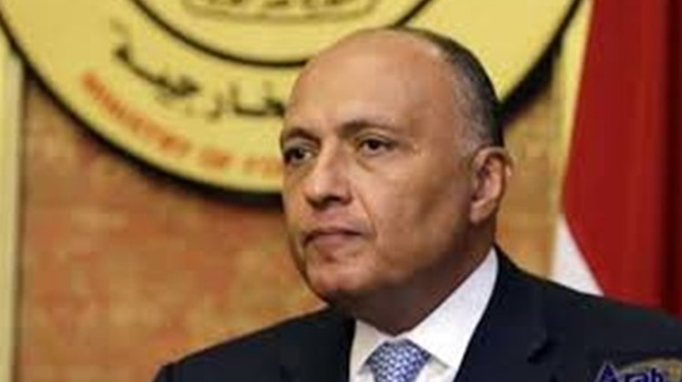 Egypt’s Foreign Minister Sameh Shoukry will embark on an African tour starting, Tuesday to deliver a message from President Abdel Fatah al-Sisi to his African Counterparts.