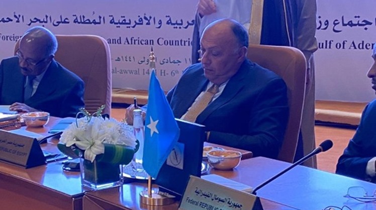 Egypt's Foreign Minister Sameh Shoukry on Thursday handed over a message from President Abdel Fattah El Sisi to President John Joseph Pombe Magufuli of Tanzania on the latest developments of the Grand Ethiopian Renaissance Dam (GERD) file.