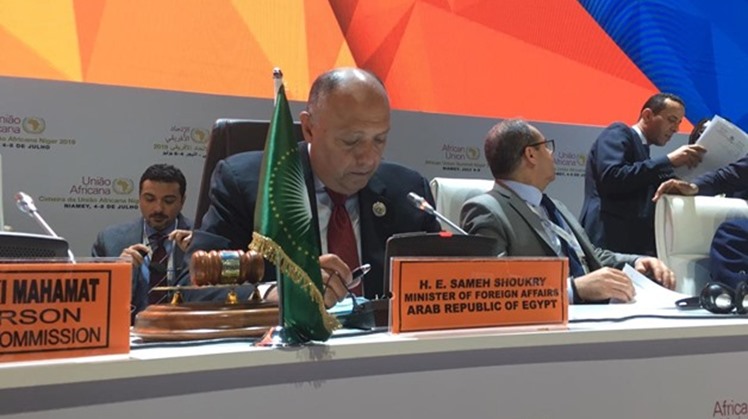 Egypt affirmed its support for the creation of an expert-level workforce off the Steering Committee of the Africa COVID-19 Response Initiative in coordination with the African Union and the United Nations Economic Commission for Africa