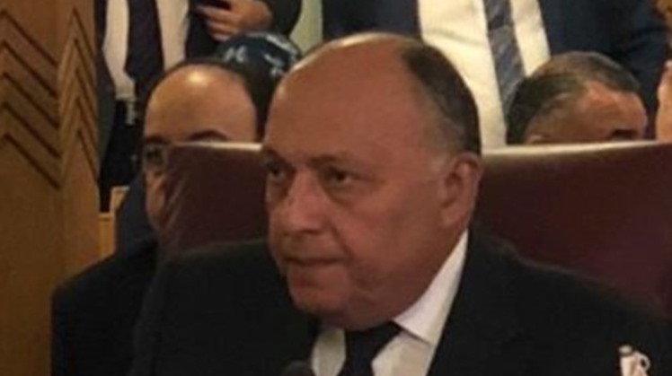 Egypt's Foreign Minister Sameh Shoukry on Monday received a phone call from his Norwegian counterpart Ine Marie Eriksen Soreid.