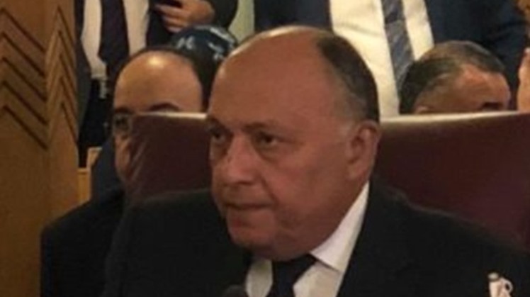 Foreign Minister Sameh Shoukry on Tuesday received a phone call from his Armenian counterpart Zohrab Mnatsakanyan to review several files pertaining to bilateral relations in addition to a number of regional and international issues of mutual interest.
