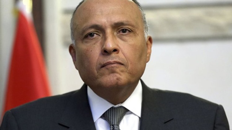 Egypt's Minister of Foreign Affairs Sameh Shoukry has confirmed that the statements made by the European and Arab countries regarding the Libyan crisis confirm the international interest in the Cairo Declaration