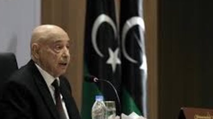 The Supreme Council of Sheikhs and Lords of Libya supported Tuesday the Libyan parliament’s calling for an Egyptian military intervention in Libya to end the Turkish unlawful existence.