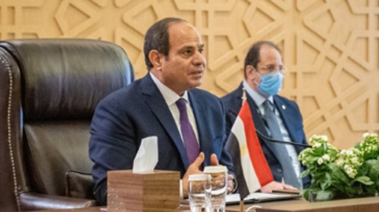 Egypt's President Abdel Fatah El-Sisi met in the Jordanian capital, Amman, with King Abdullah II bin Al-Hussein, the king of Jordan, according to presidential spokesperson Bassam Radi on Tuesday.