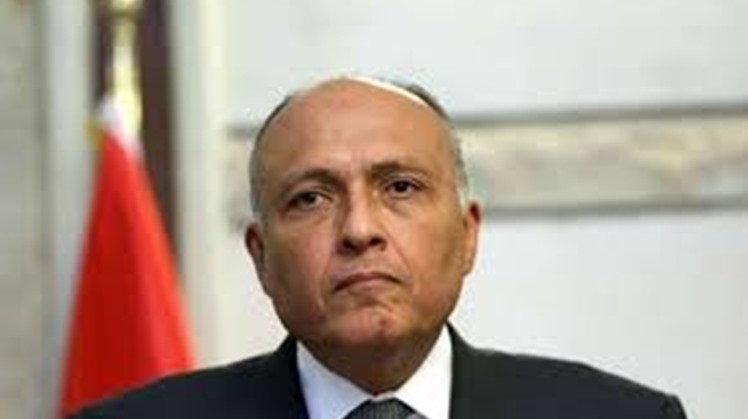 Egypt believes the total elimination of nuclear weapons, under international inspection, is necessary to establish peace, security and sustainable development, said foreign minister Sameh Shoukry during his address to the United Nations General Assembly.