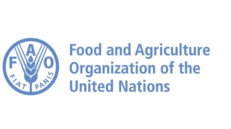 Celebrating the first International Day for Awareness of Food Loss and Waste, the United Nations Food and Agriculture Organization (FAO) hailed Egypt’s projects aimed at reducing food loss and waste in partnership with the organisation.