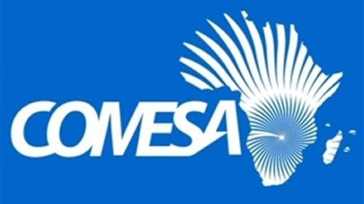 : Egypt's Trade and Industry Minister Nevin Gamea discussed on Sunday with Secretary General of COMESA Chileshe Mpundu Kapwepwe ways of increasing Egypt's economic cooperation