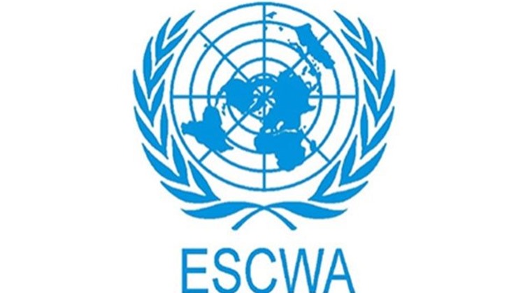 Egypt attends ESCWA meeting on 'Debt Swap Initiative for Climate Finance and SDGs in Arab Region'