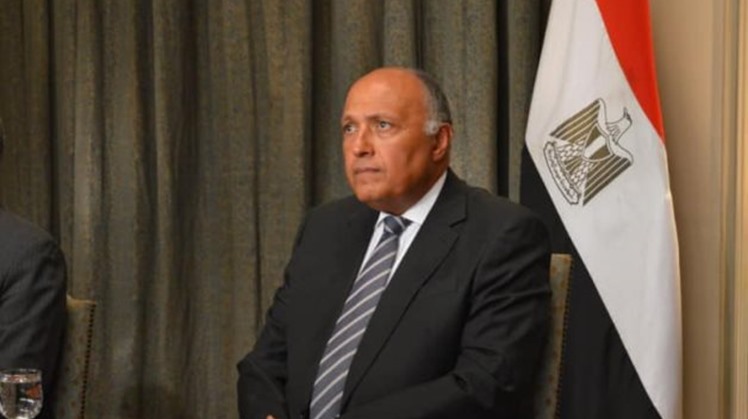 Egyptian Foreign Minister Sameh Shoukry received a phone call from Japanese counterpart Toshimitsu Motegi on Monday, discussing the ways of enhancing the bilateral relations and international and regional issues
