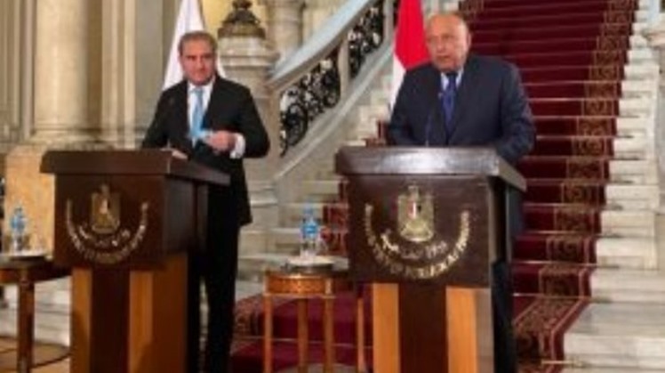 Egypt plays role in sponsoring the peace process, ceasefire between Libyan parties: FM