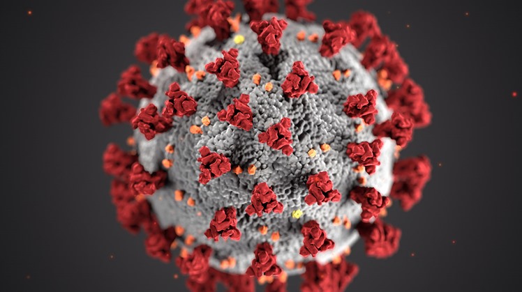 Egypt negotiates with India, China to manufacture coronavirus vaccines