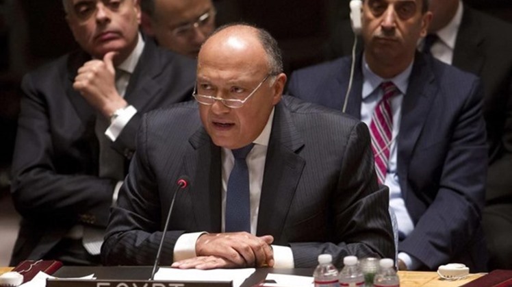 Egypt's FM discusses Gaza in a phone call with U.S. Secretary of State