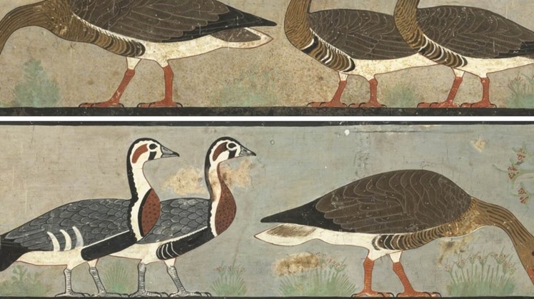 Egypt