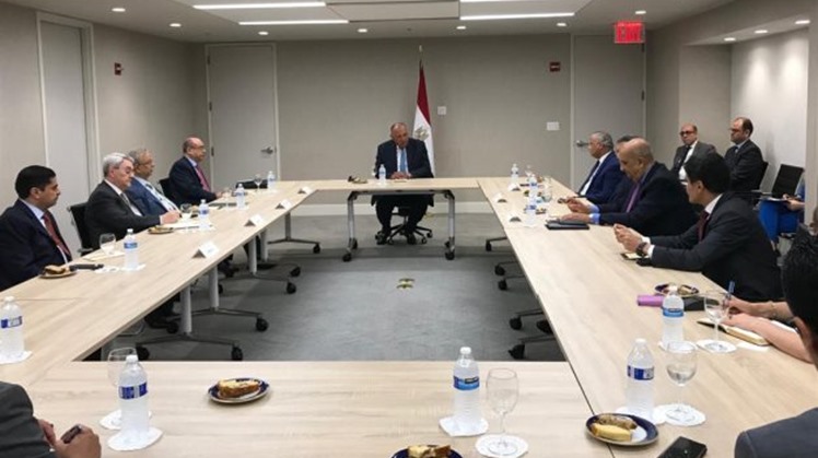 Egypt’s FM meets with Arab committee concerned with coordinating on GERD with UNSC