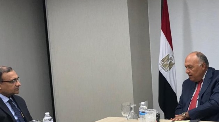 Foreign Minister Sameh Shoukry held a meeting on Thursday with the Indian Permanent Representative to the United Nations to present Egypt’s position on the Grand Ethiopian Renaissance Dam (GERD) hours before the Security Council session.
