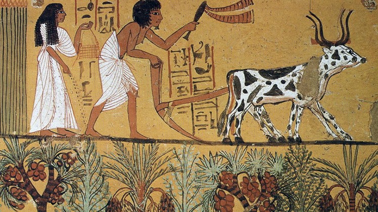 The Lives Of The Egyptians The History Of Agriculture In The Ancient Egyptian Civilization 4079