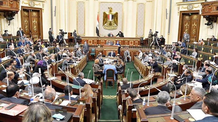 Egypt parliament approves amendment toughening penalties on bullying disabled persons