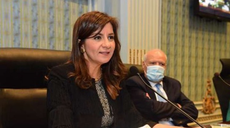 Egypt's Minister of Immigration and Egyptian Expat Affairs Nabila Makram said on Saturday that LE5 million ($312,500) were donated by Egyptians in the United States in just two hours to Decent Life initiative.