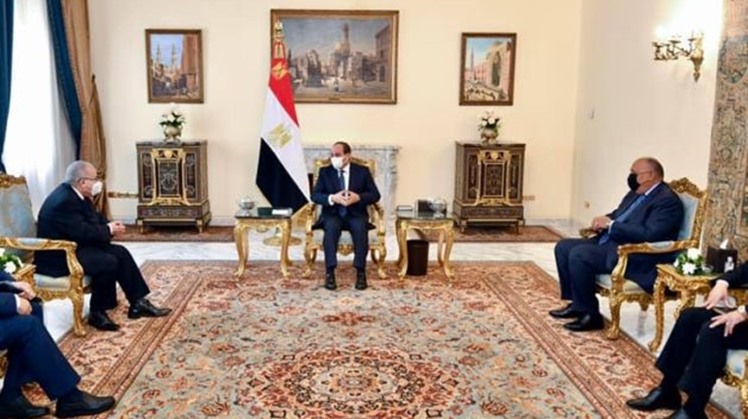 Sisi, Algerian FM assert support to Tunisian president, agree on need to end foreign presence in Libya