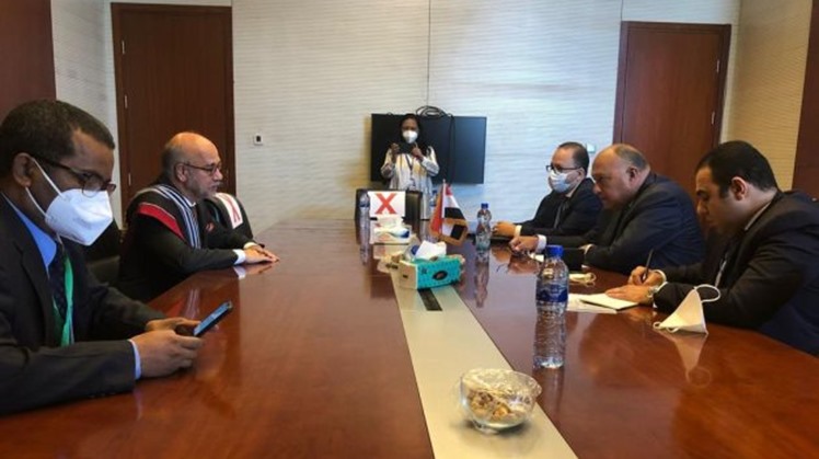 Egyptian FM meets with Madagascar counterpart in Addis Ababa