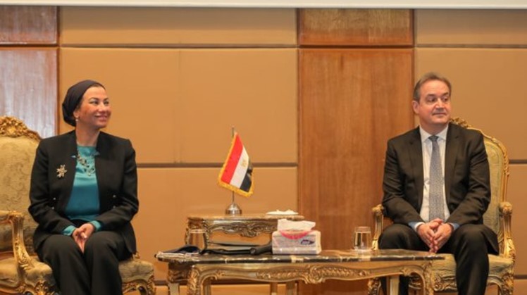 Egypt aim at translating the international financial pledges to implementation: Minister