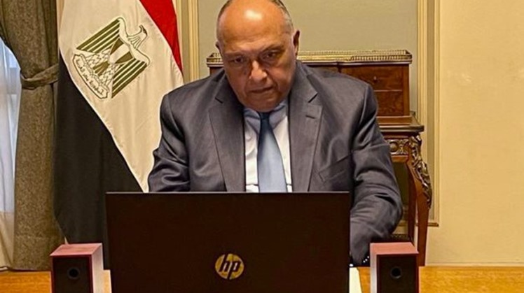 Egypt's FM meets Palestine's deputy premier, part of efforts to solve Palestinian Problem