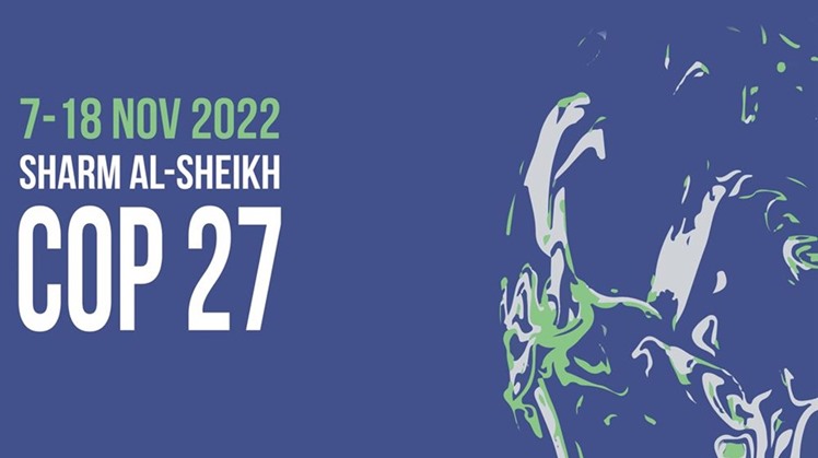 Egypt to spare no effort to achieve ambitious results for financing green transformation at COP27: Planning min. to FfD Forum