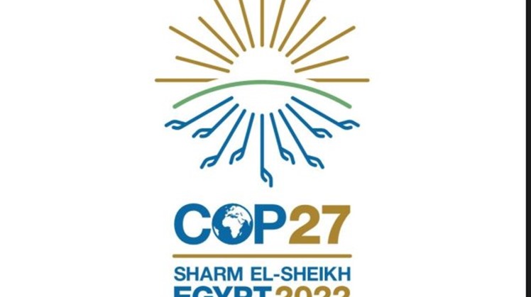 Egypt calls African countries to consultative session on climate, energy ahead of COP27