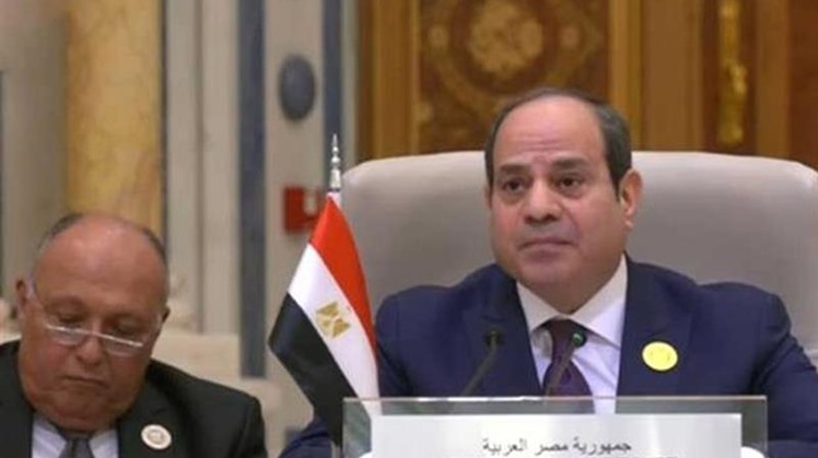 Egypt looks forward to boosting cooperation with French companies: Sisi