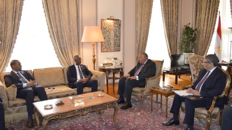 Egypt affirms readiness to assist Somalia with combating terrorism