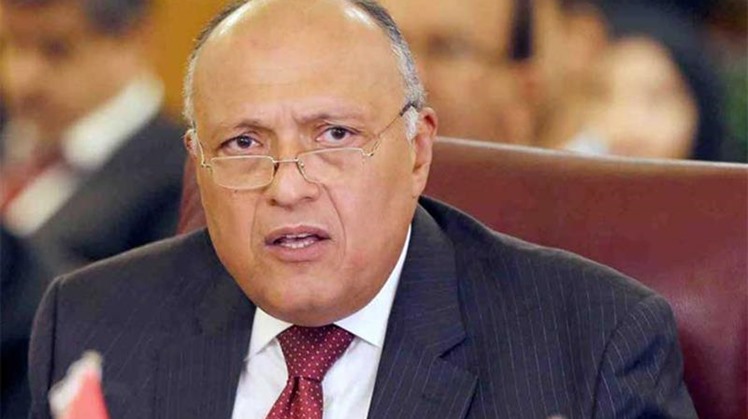 Shoukry highlights role of int'l institutions in drumming up support for climate work