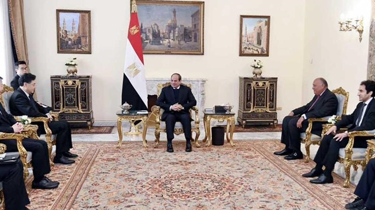 Egypt, China's FMs stress profound relations between the countries