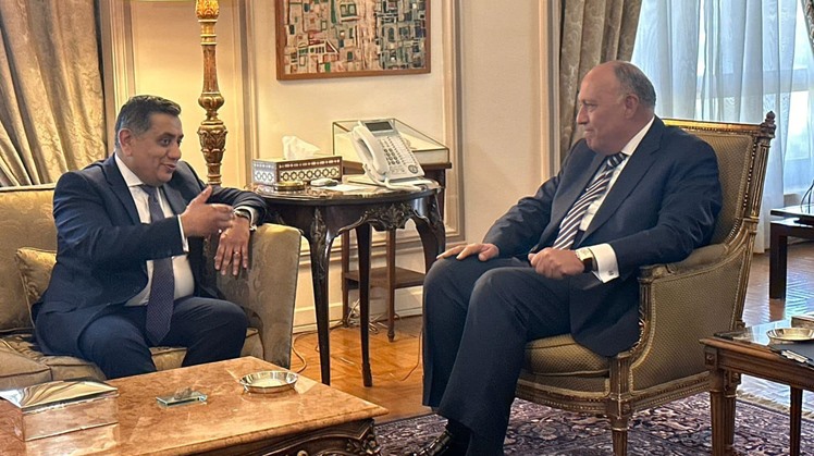 
UK largest foreign investor in Egypt: Foreign Minister
