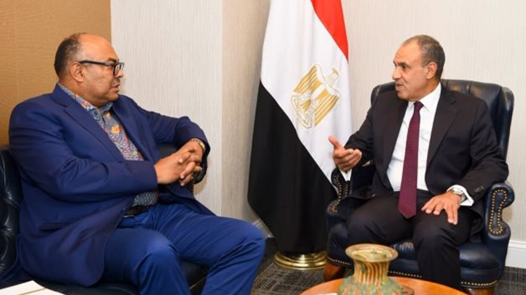 Egypt and Tanzania discuss Nile Basin cooperation, the NBI’s inclusiveness and growing bilateral ties, including the Julius Nyerere Hydropower Project.