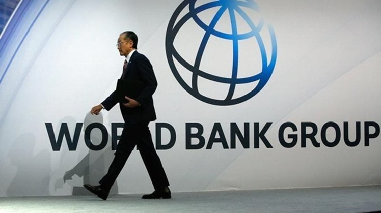 The World Bank Group (WBG)