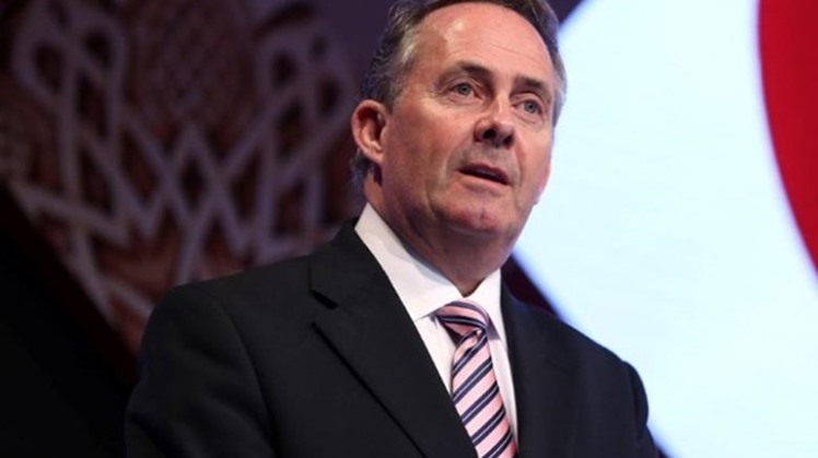 The United Kingdom seeks to establishing partnerships with Egypt to promote trade ties between London, Egypt and North Africa,  British Secretary of State for International Trade Liam Fox said Monday.