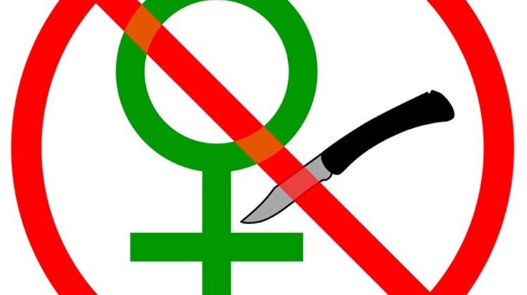 The United Nations in Egypt praised on Monday, May 27, the positive and encouraging steps that the Egyptian government took to end Female Genital Mutilation "FGM".