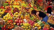  Egypt's exports of fruits and vegetables rose to 4 million and 800,000 tons since the beginning of the new export season of fruits and vegetables, the Central Administration of the Ministry of Agriculture issued a report Tuesday.
