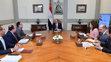 Egyptian President Abdel Fattah al-Sisi held a meeting with the prime minister and ministers of planning and finance on Saturday to check the progress of economic indicators, the Presidency said in a statement.