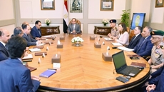 The cabinet Monday unveiled the state's intentions to expand the logistic zones and franchises nationwide with a view to easing the supply of commodities