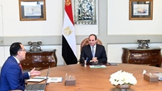 President Abdel Fattah al-Sisi urged the involvement of the private sector and youth in the projects of the Environment Ministry
