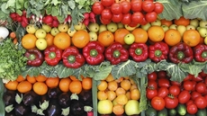 Head of the Central Department of Agricultural Quarantine at the Ministry of Agriculture Ahmed al-Attar said on Saturday that exports of vegetables and fruits have increased to 1,770,000 tons since the beginning of 2020.
