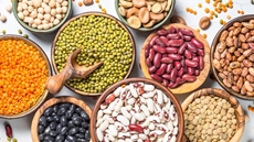 Egypt's Trade and Industry Minister Nevine Gamae issued a decision to extend the suspension of exporting beans and lentils for three more months starting from the date of the issuance of the decision.