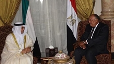 Egypt's Minister of Foreign Affairs and International Cooperation Sheikh Abdullah bin Zayed bin Sultan Al Nahyan lauded Egypt’s strenuous efforts to reach a political solution for the Libyan crisis.