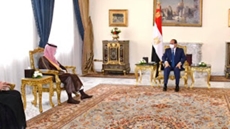 Egypt’s President Abdel Fattah El Sisi affirmed that “solidarity and consistent stances are the effective way to ward off foreign dangers
