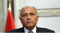 Egypt believes the total elimination of nuclear weapons, under international inspection, is necessary to establish peace, security and sustainable development, said foreign minister Sameh Shoukry during his address to the United Nations General Assembly.